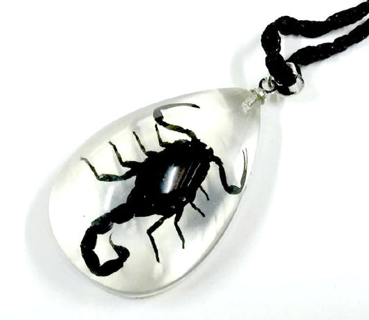 Scorpius NEcklace - Witchy Witch Street scorpion Rock occult Nu-goth Necklace Metal mens Gothic Goth Black